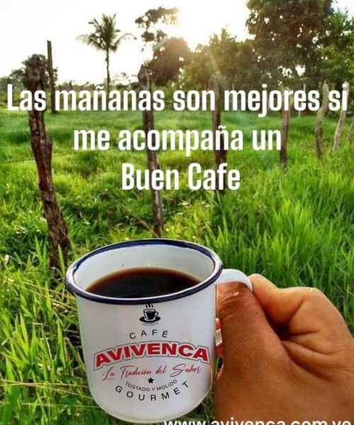 WhatsApp Image 2025-06-27 at 2.43.02 PM